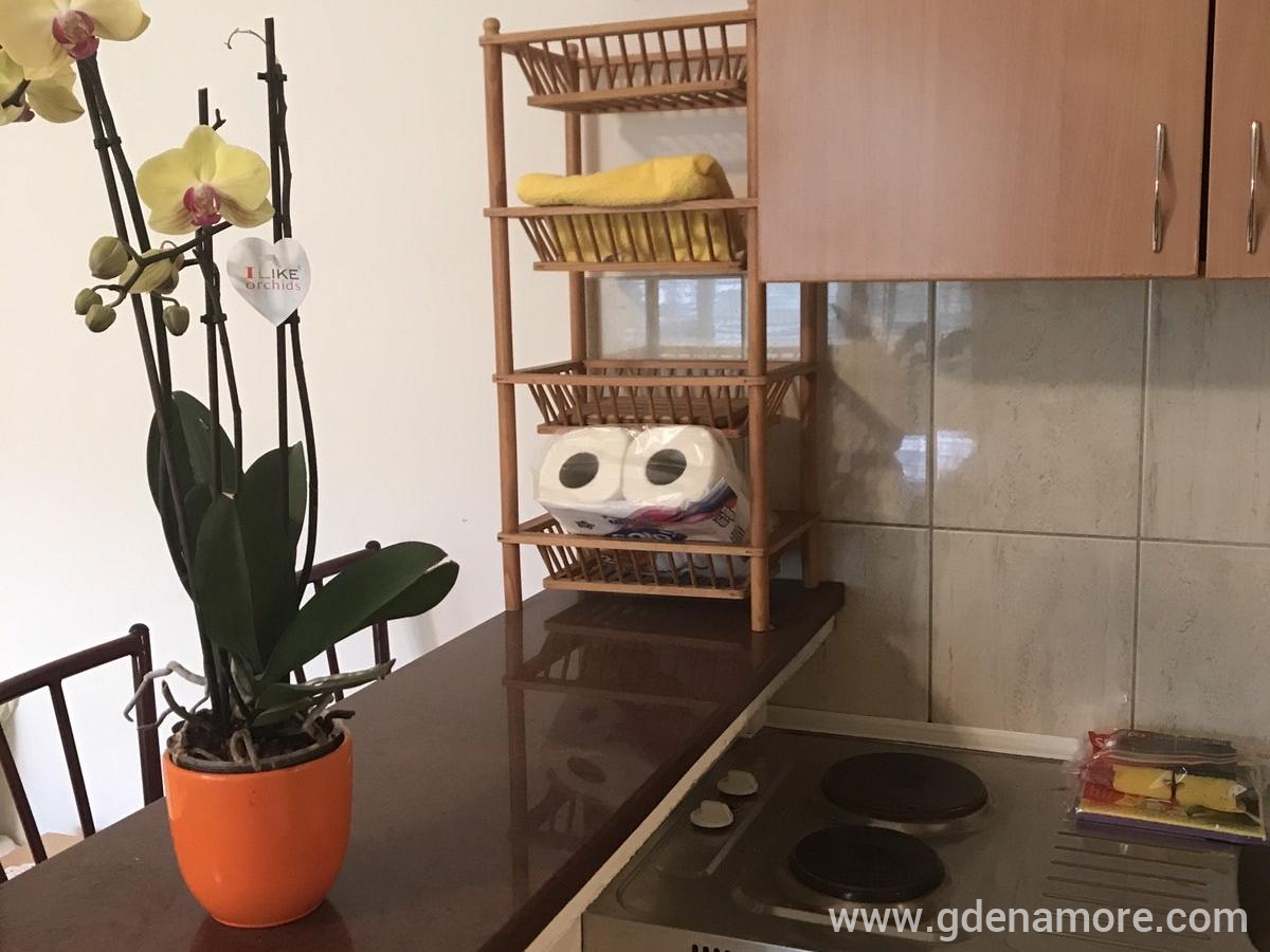 Apartmani Kostić, privatni smeštaj u mestu Herceg Novi, Crna Gora - IMG_4825