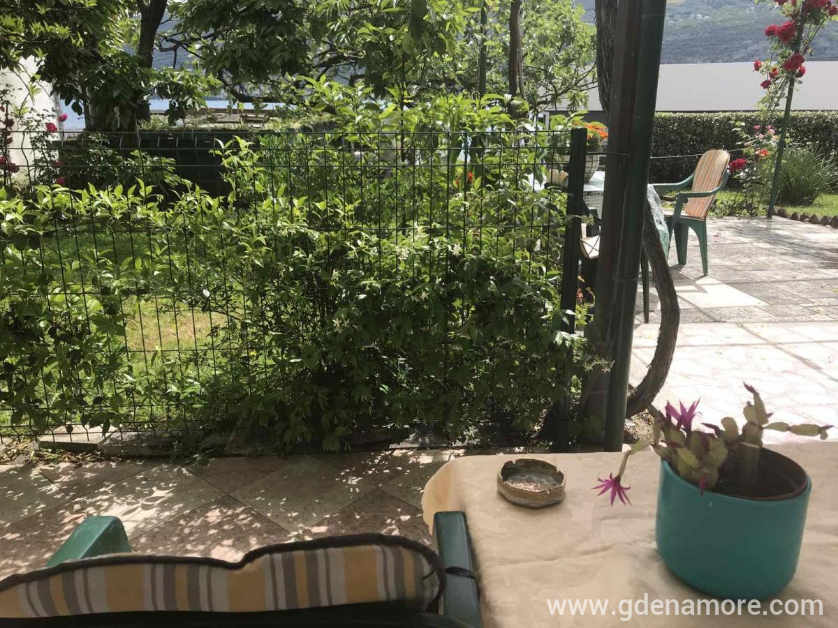 Apartmani Kostić, privatni smeštaj u mestu Herceg Novi, Crna Gora - IMG_4866