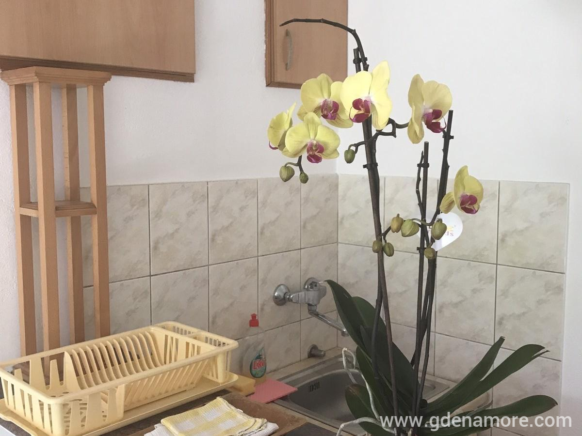 Apartmani Kostić, privatni smeštaj u mestu Herceg Novi, Crna Gora - IMG_4870