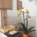Apartmani Kostić, privatni sme&scaron;taj u mestu Herceg Novi, Crna Gora - IMG_4870